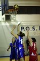 Basket 443010